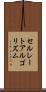 セルレートアルゴリズム Scroll