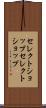 セレクトショップ Scroll