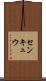 センキュウ Scroll