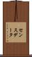 センスデータ Scroll