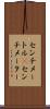 センチメートル(P) Scroll