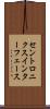 セントロニクス・インターフェース Scroll