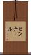 センナール Scroll