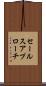 セールス・アプローチ Scroll