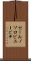 セールノソロビエービチ Scroll