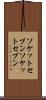 ソケットセブン Scroll