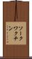 ソークワクチン Scroll