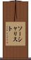 ソーシャリスト Scroll
