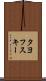 タヨフスキー Scroll