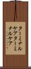 ターミナルケア Scroll