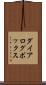 ダイアログ・ボックス Scroll