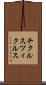 チクルス Scroll