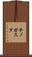チノガスタ Scroll