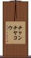 チャンチヤコウ Scroll