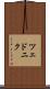 ツェドニク Scroll