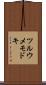 ツルウメモドキ Scroll