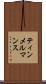 ティンメルマンス Scroll
