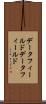 データフィールド Scroll