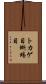 トカゲ目 Scroll