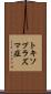 トキソプラズマ症 Scroll
