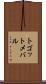 トゴットメバル Scroll