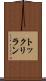 トックリラン Scroll