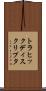トラヒック・ディスクリプタ Scroll