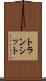 トランシット Scroll
