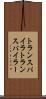 トランスパイラ Scroll