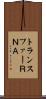 トランスファーＲＮＡ Scroll