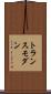 トランスモダン Scroll