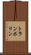 トランポリン Scroll