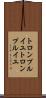トロンプルイユ Scroll
