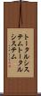 トータルシステム Scroll