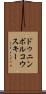 ドゥニンボルコウスキー Scroll