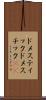 ドメスティック Scroll
