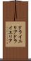 ドライエリア Scroll
