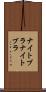 ナイトブラ Scroll