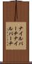 ナイルパーチ Scroll