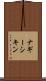 ナギーシキン Scroll