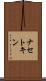 ナセトキン Scroll