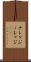 ナレッジ Scroll