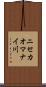 ニセカオマナイ川 Scroll