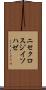 ニセクロスジイソハゼ Scroll