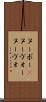 ヌーボー(P) Scroll