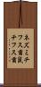 ネズミチフス菌 Scroll