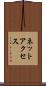 ネットアクセス Scroll