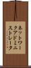 ネットワーク・アドミニストレータ Scroll