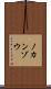 ノカンゾウ Scroll