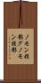 ノモン投影 Scroll